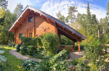 Waldhaus Eichhörnchen - Foto 4