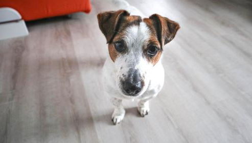 La Casa di Pamy - Foto 5