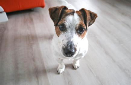 La Casa di Pamy - Foto 5