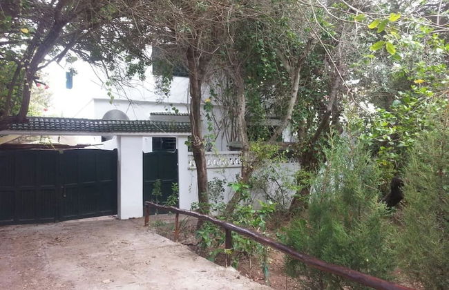 Maison Etoile De Mer 1 - Photo 12