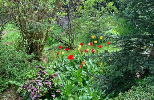 Waldhaus Hahnenklee - Foto 15