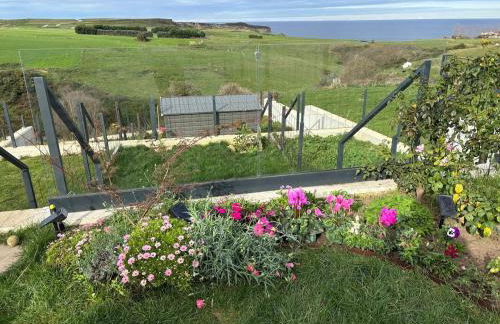 ballota 21 - Foto 38