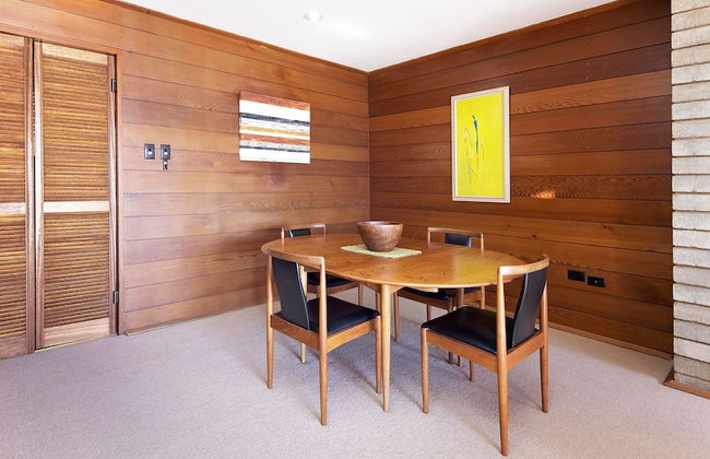 Grey Kangaroo- On Lake Jindabyne foreshore - Foto 7