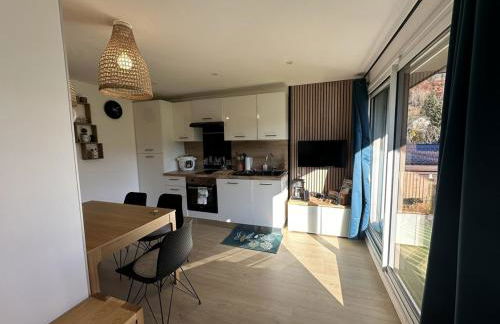 Appartement 2 pièces 4 pers terrasse parking Les Carroz d'Arâches - FR-1-572-293 - Foto 8