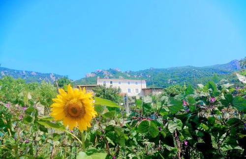 Les chambres de la ferme de chalas - Foto 48
