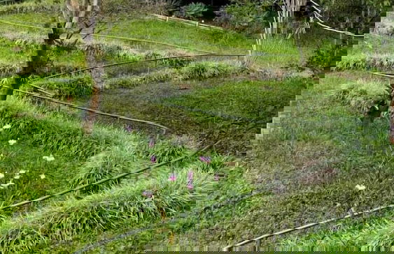 Ecohotel SoñArte - Foto 1