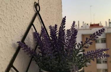 Anfitriones de Glamour - Albor de Sevilla - Foto 8