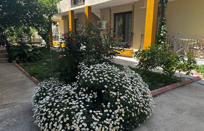 Grand Teoshan Otel ve Tatil Evleri - Photo 41