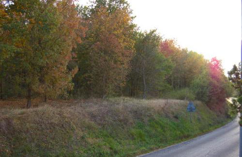 Casale Il Vento - Foto 12