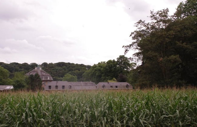 Ferienwohnung Villa Weyermann - Foto 79