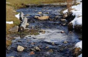 El 15 de Betren - Foto 21