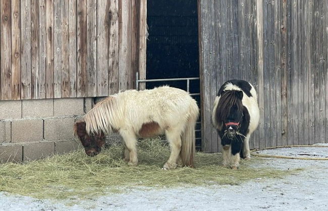 Charming Apartment in Himmelkron - Foto 20