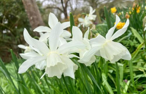 Simpers Drift, Great Glemham - Photo 20