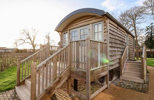 Amy Johnson - Foto 1