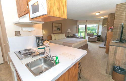 The Grey Gull - Foto 126