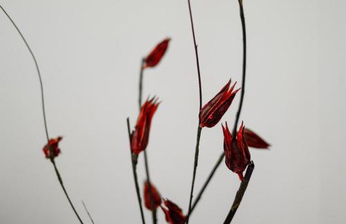 OpenView Apartment on Metro Station - Easy Parking - Foto 14