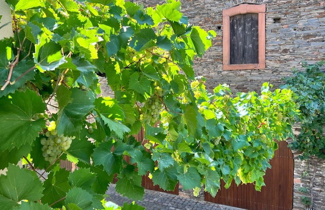 Alte Schmiede zu Trarbach - Foto 58