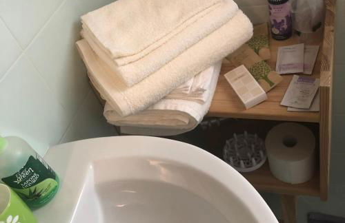 Agriturismo il Podere Vedelago con San Bernardo, Alpaca e una Pentola di cose da scoprire - Foto 41