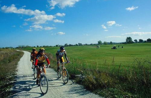 Holiday Home PINO 2 by Interhome - Photo 29