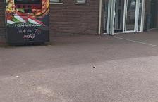 L,orchidée - Photo 2