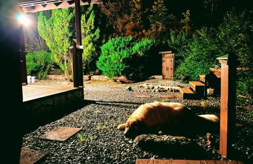 Tiny House, WIFI,Hot tub,Secluded - Foto 31