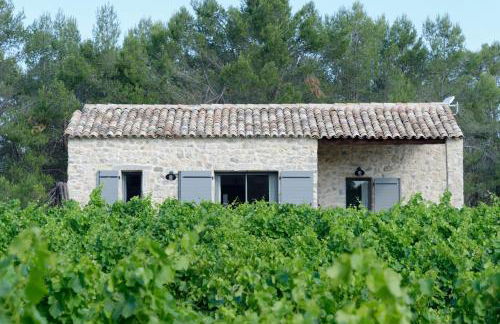 Les Lodges du Pic - Foto 1