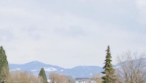 ApartWehr Business & Ferien Apartment Braun - Foto 3