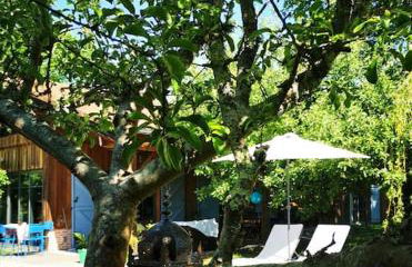 Grande maison bois entre océan et lac - Foto 1