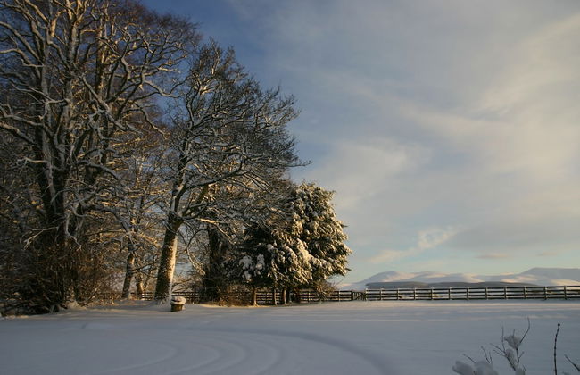 Cormiston Farm - Foto 12