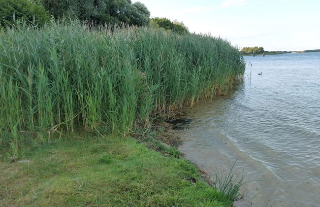 Ferienwohnungen, Malchow - Foto 24