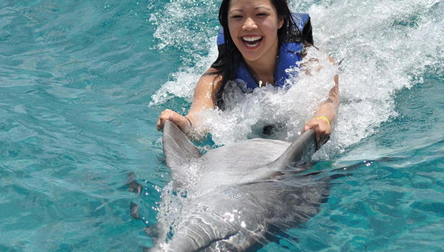 Pôr do sol em Negril e nadar com golfinhos - Foto 3