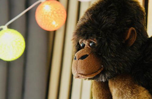 FeWoZauber - Domschloss, Zentrum, 6 Personen, Business, Dachterrasse, Familien - Foto 37