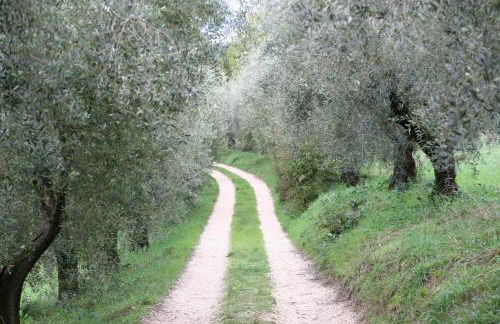 Agriturismo Terra Sabina - Foto 91