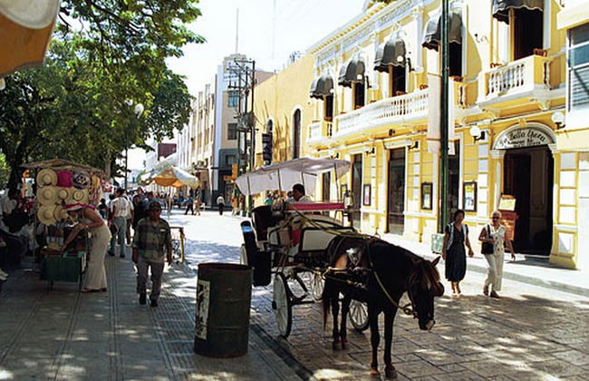 Tranquil Tropical Oasis in the Historic Center - Foto 16