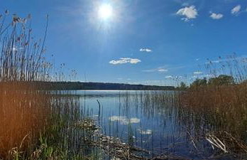 Japoński domek MITAKO - Foto 33