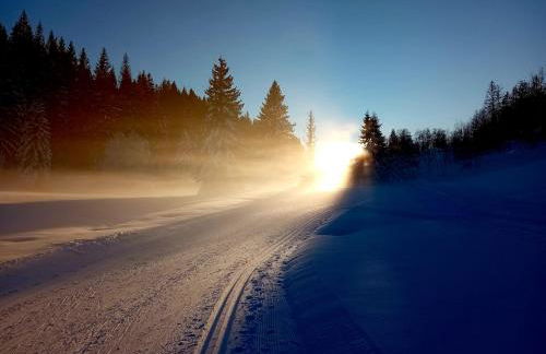 Au Coeur du village de Prémanon - Foto 2