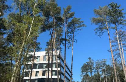 Apartament Krab AKTENA Shellter Rogowo - Foto 16