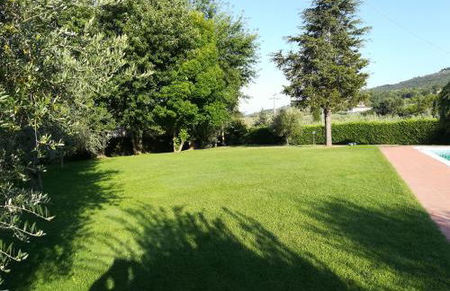 residence San miniato - Foto 4