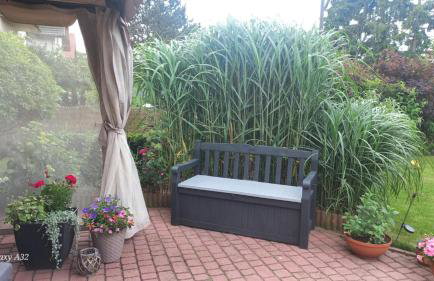 Domek pod jabłonią Mikoszewo - Foto 21