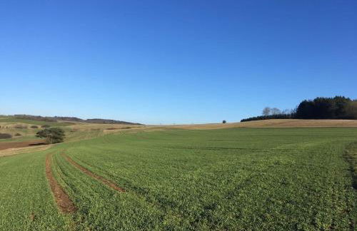 Eifelcottage Wren - Foto 25