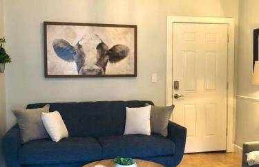 Overlooking Downtown Dunedin Two Bedroom apartment NO KIDS, NO PETS - Foto 1