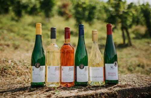 Haus Ambiente - Foto 10