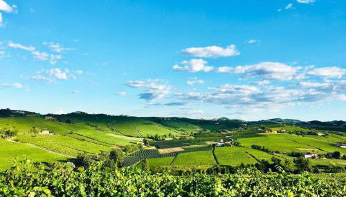 Villa panoramica sulle colline del Monferrato - Foto 1