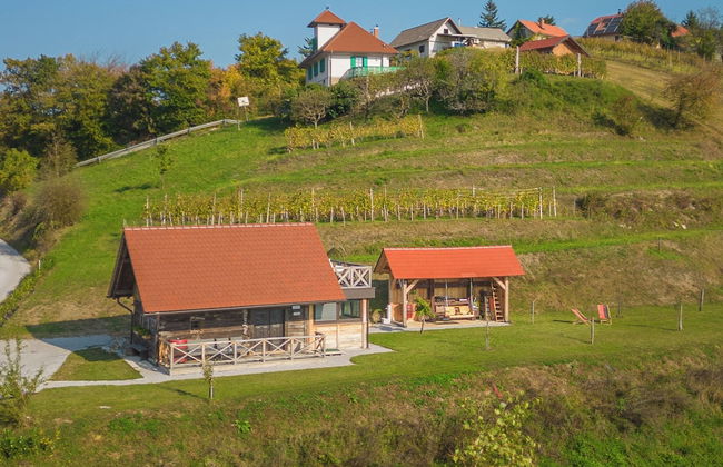 Vineyard Cottage Grajska Kasca - Foto 13