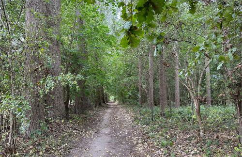 Gemütliche FeWo mit Balkon nahe der Ostsee - 2 Schlafzimmer - Foto 47