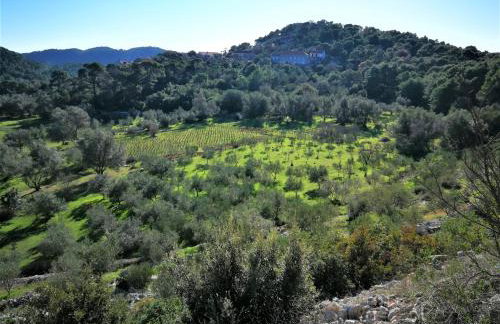 Agriculture & Holiday house Lasko - Photo 17