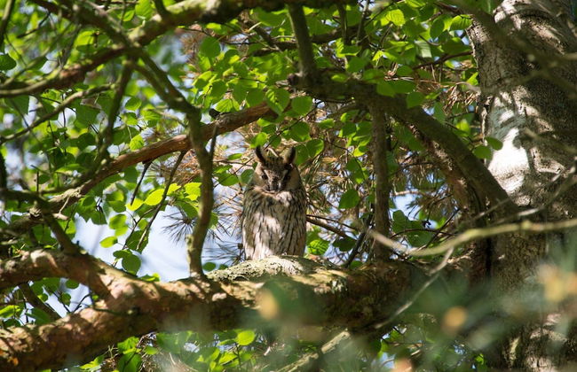 Cozy Chalet With a Decorative Fireplace - Foto 27