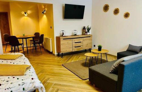 GÓRSKA CISZA - Duży, komfortowy, wyjątkowy Apartament - Foto 26