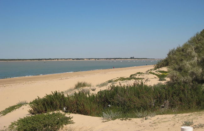 Detached Villa With a Large Private Swimming Pool - Foto 31