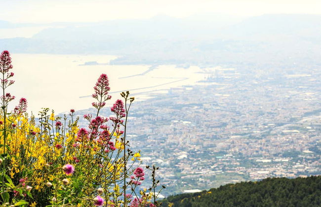 Tour di Pompei, Ercolano e Vesuvio - Foto 8